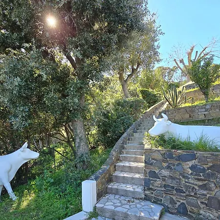 Nordsud * Cavalaire-sur-Mer